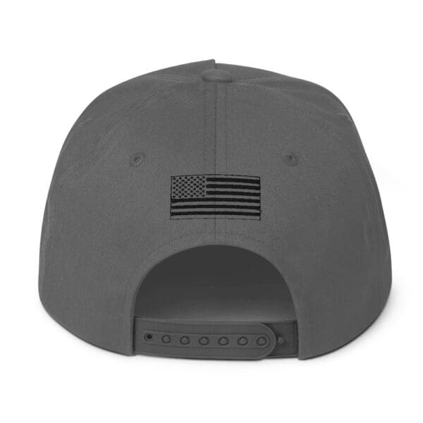 A Grey With Black Brand Logo Snap Back Cap Back