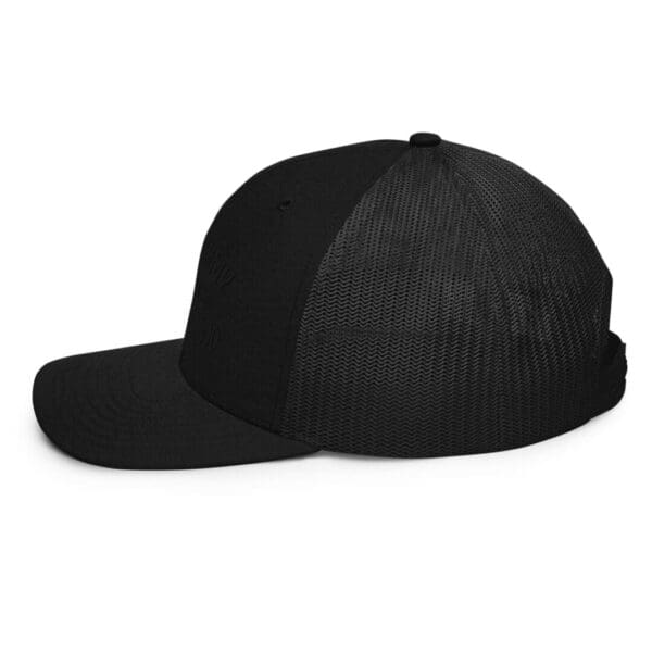 A Snapback Black Color Baseball Cap Side