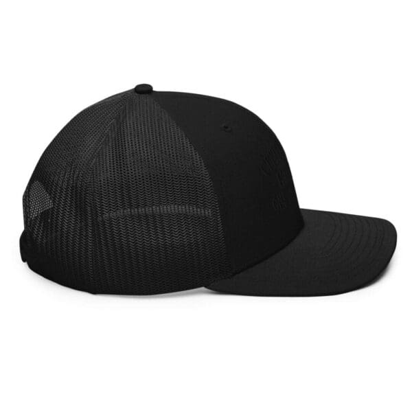 A Snapback Black Color Baseball Cap Side Rotated